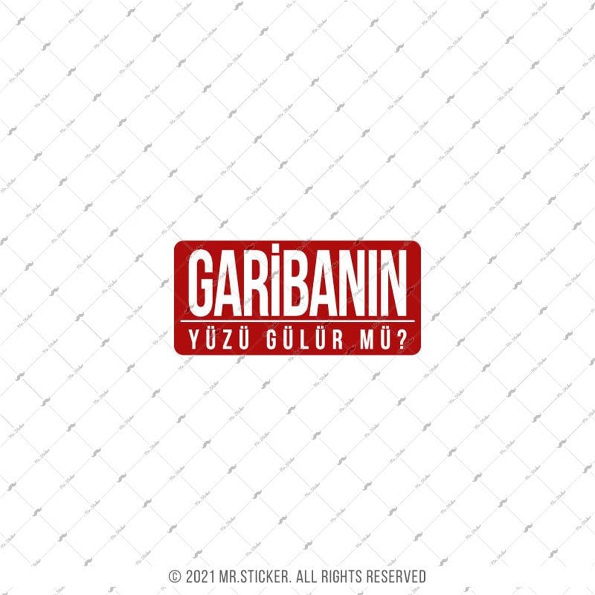 ESP71 V3 Garibanin Yuzu Gulur mu?