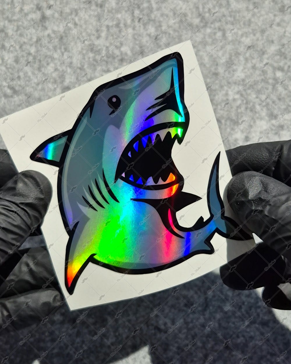 HLG115 Hologram Köpek Balığı Etiket
