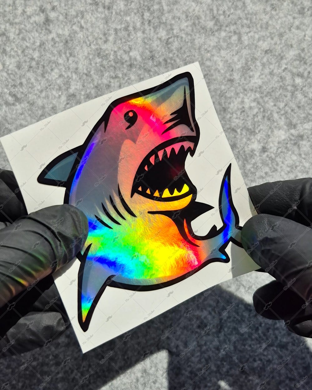HLG115 Hologram Köpek Balığı Etiket