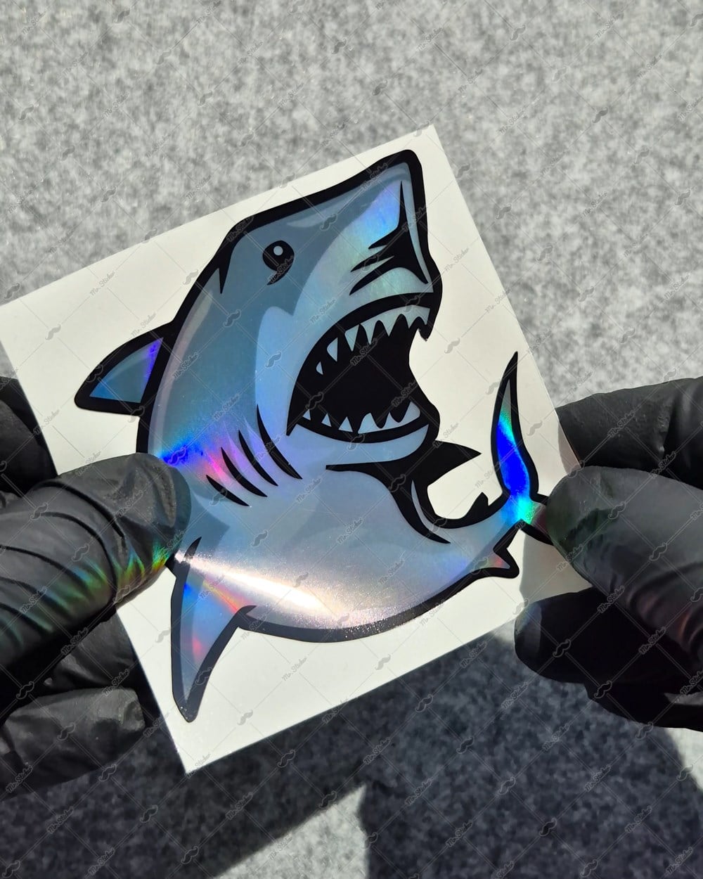 HLG115 Hologram Köpek Balığı Etiket