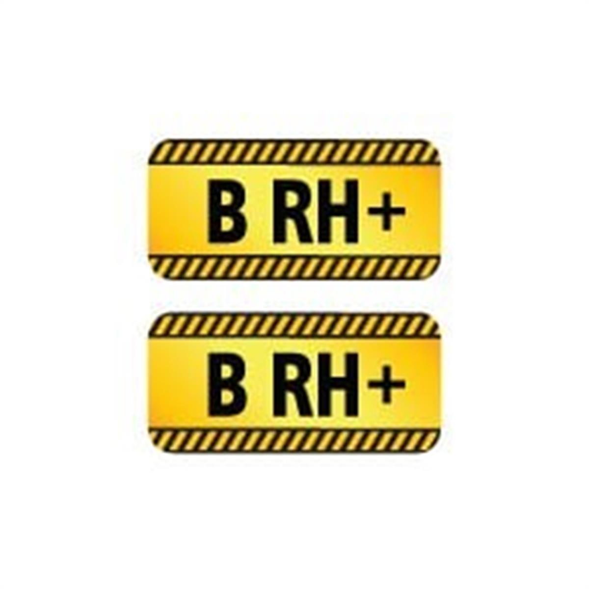 ISG17 Reflektif B Rh Pozitif (+) Kan Grubu Etiket Seti V2