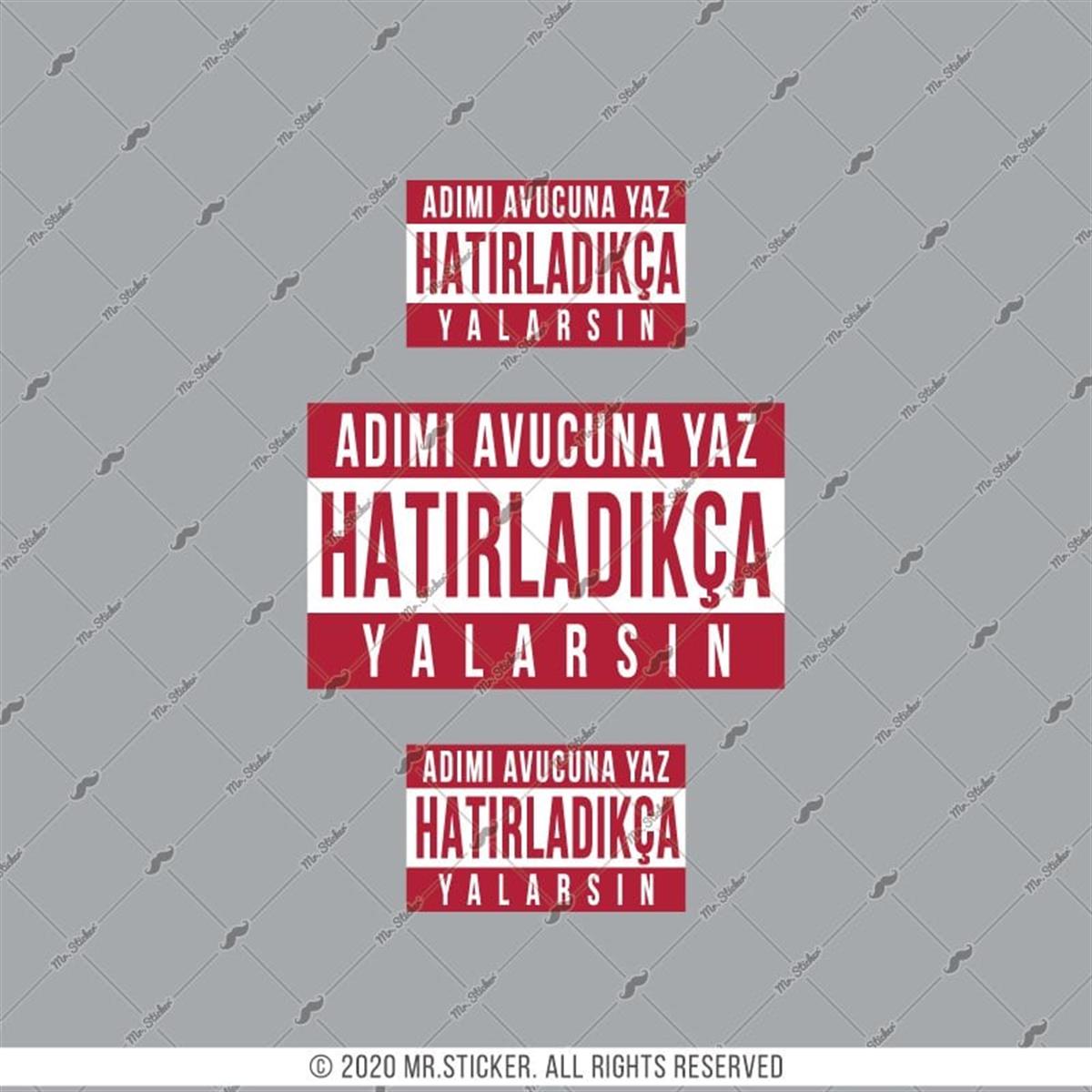 RFHLM197 V2 Adimi Avucuna Yaz Yazili Etiket Seti