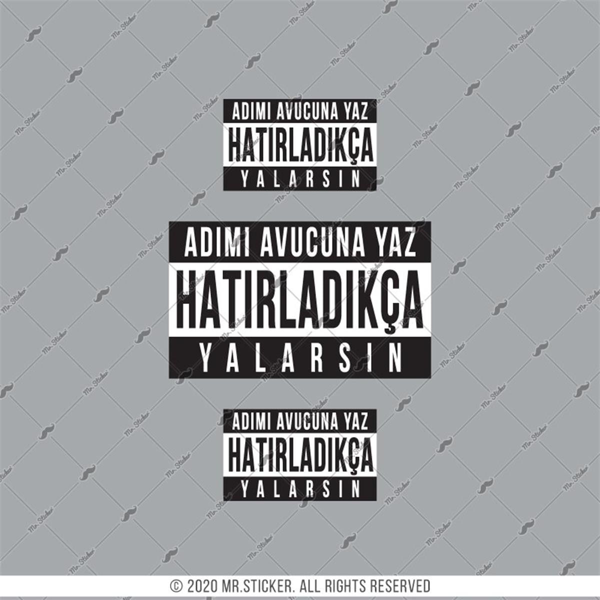 RFHLM197 V2 Adimi Avucuna Yaz Yazili Etiket Seti