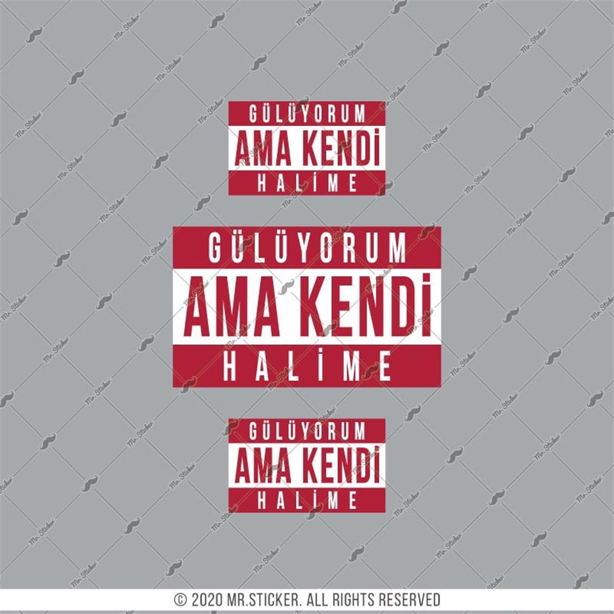 RFHLM200 V2 Guluyorum Halime Yazili Etiket Seti