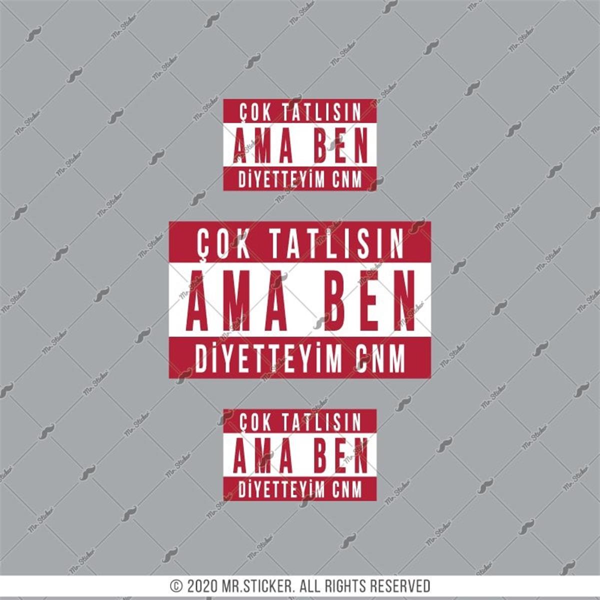 RFHLM206 V2 Cok Tatlısın Yazili Etiket Seti
