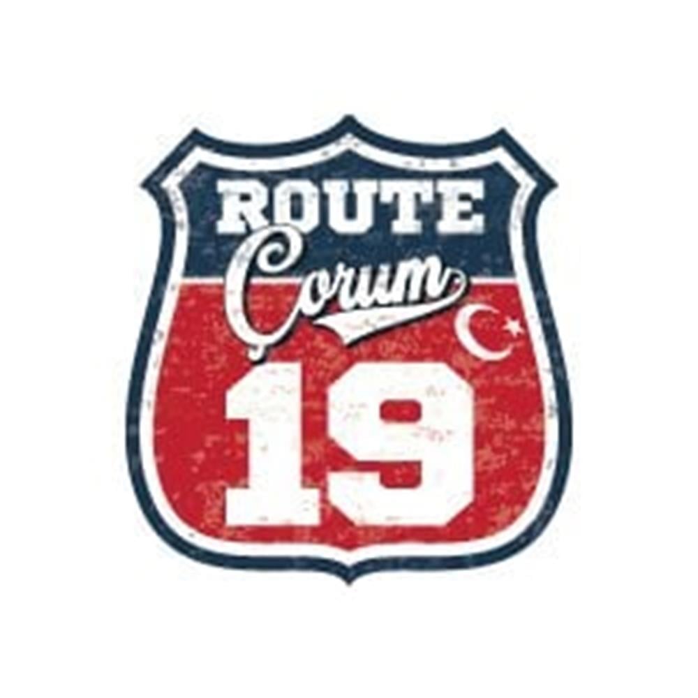 ROUP31 Route Çorum 19 Etiketi