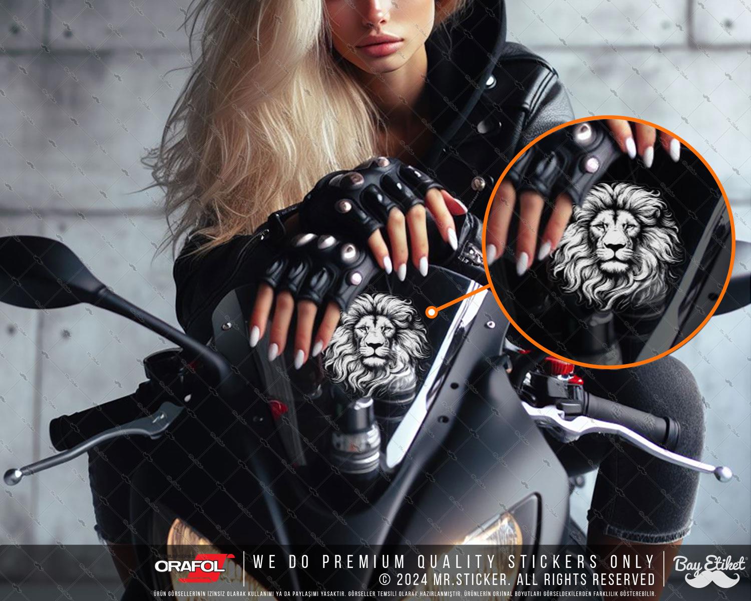 TWT6 Beyaz Çizgi Çalışma Aslan Etiketi Şeffaf Sticker