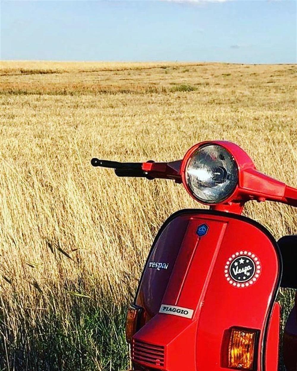 VSP8 Vespa Isikli Tabela Etiketi