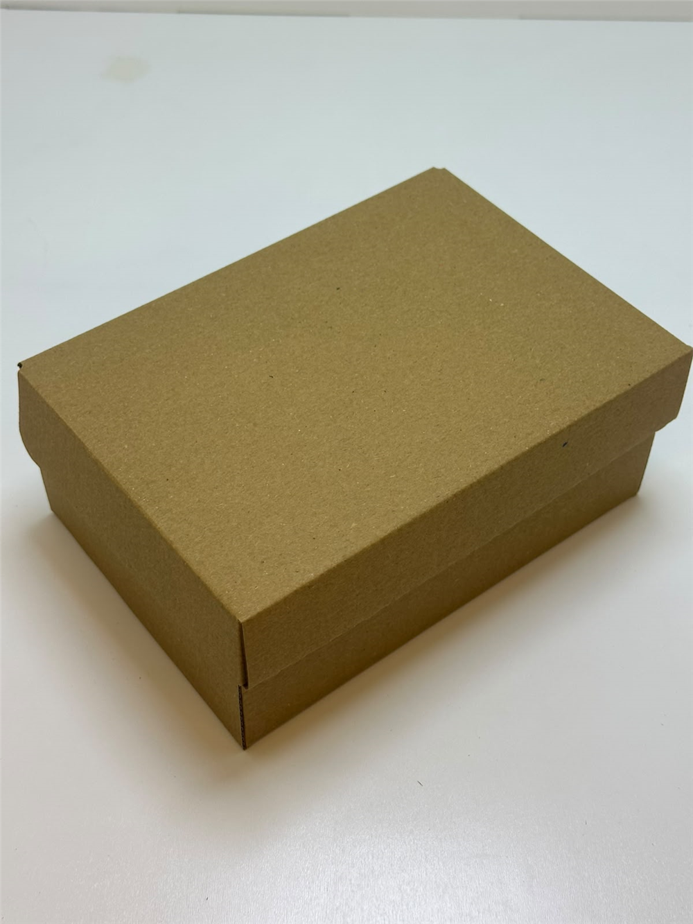 EGE CONCEPT LİFE-19x13,5x8 E-Ticaret KARGO KOLİSİ