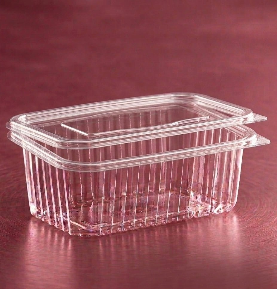 EGE CONCEPT LİFE-Düz Kapak Sızdırmaz Plastik Kap 1000 cc 