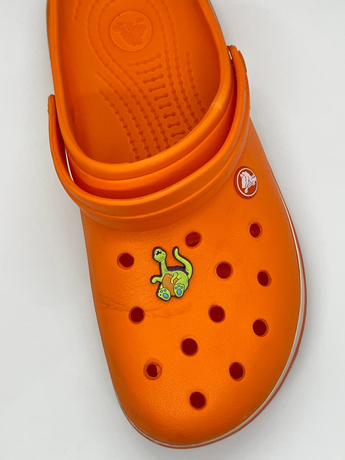 Dinazor Temalı Temalı Jibbitz Crocs Terlik Süsü 