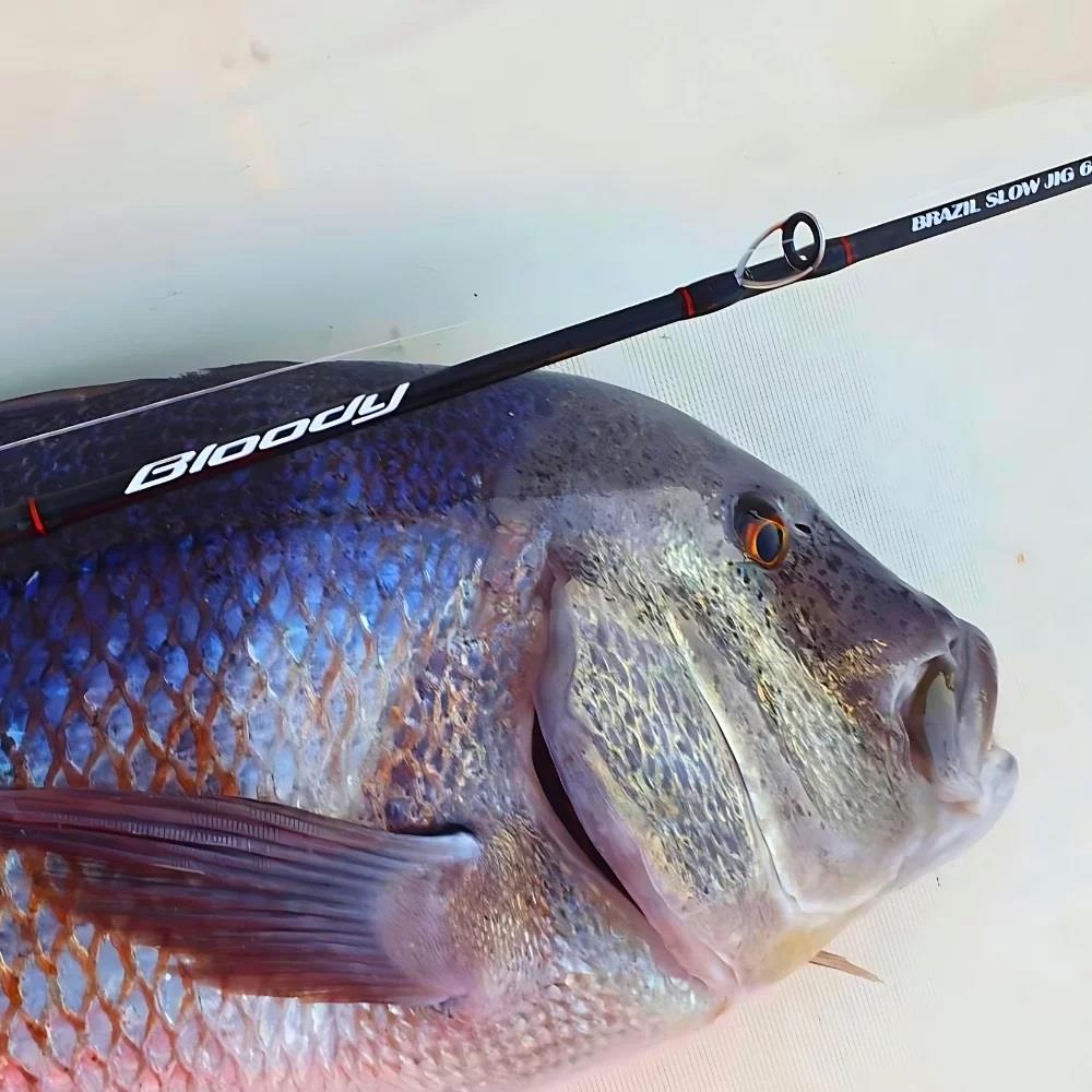 Hart Bloody Brazil Spiral Slow Jig Kamışı 1.90m PE1-3 30/180g 2 Parça Tetikli 