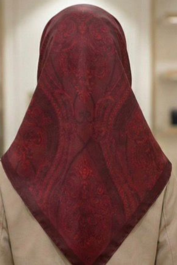 Armine Saf İpek Sura Eşarp 9537D 50