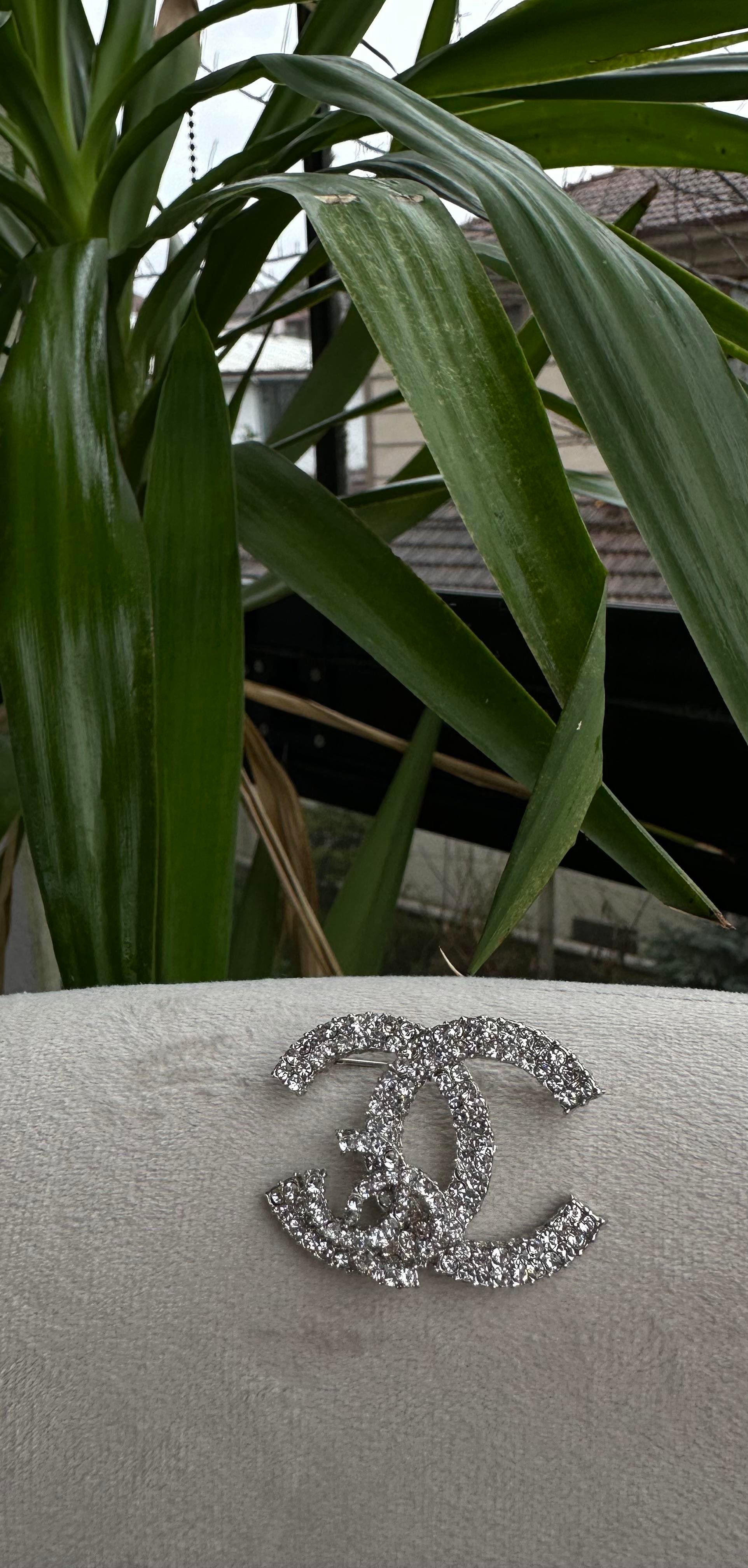 CC Detaylı Gümüş Broş 