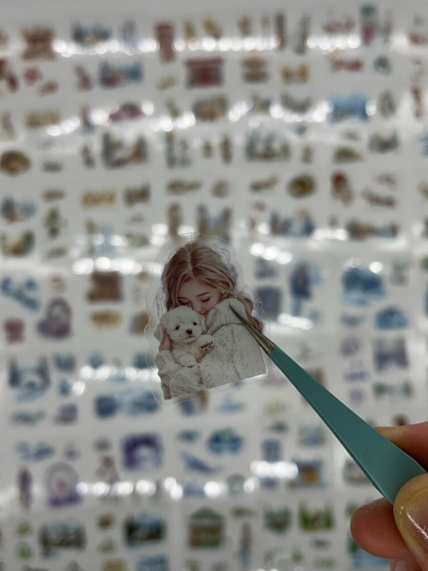 Aesthetic Frosty Girls Kış Masalı 4 Bölüm 100 Yaprak 484 Adet Kutu Sticker Seti/Etiket/Çıkartma