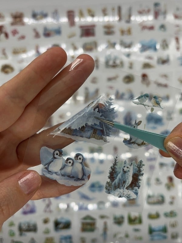 Aesthetic Frosty Girls Kış Masalı 4 Bölüm 100 Yaprak 484 Adet Kutu Sticker Seti/Etiket/Çıkartma