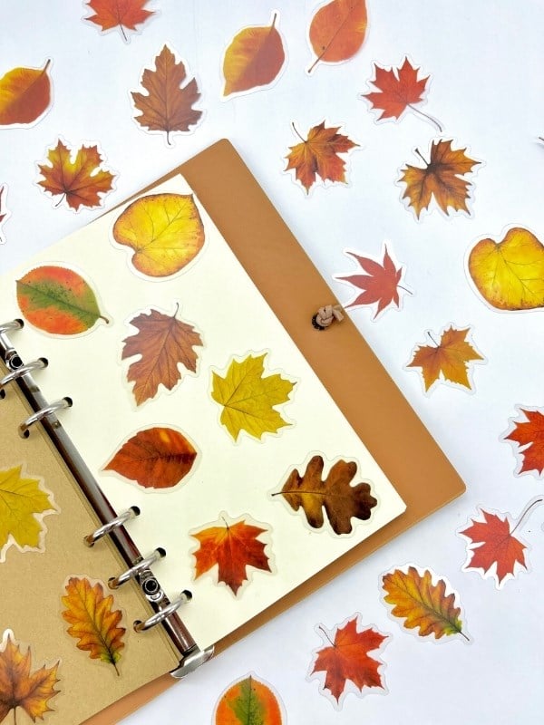 Autumn Dream Leaves 40 Adet Dekoratif Turuncu Yaprak Şeffaf Pet Sticker Seti/Etiket/Çıkartma