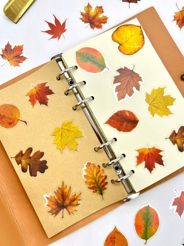 Autumn Dream Leaves 40 Adet Dekoratif Turuncu Yaprak Şeffaf Pet Sticker Seti/Etiket/Çıkartma