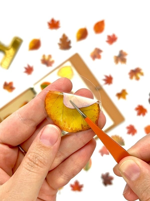 Autumn Dream Leaves 40 Adet Dekoratif Turuncu Yaprak Şeffaf Pet Sticker Seti/Etiket/Çıkartma