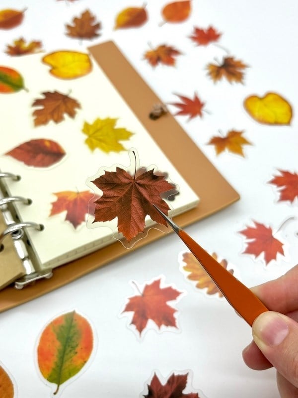Autumn Dream Leaves 40 Adet Dekoratif Turuncu Yaprak Şeffaf Pet Sticker Seti/Etiket/Çıkartma