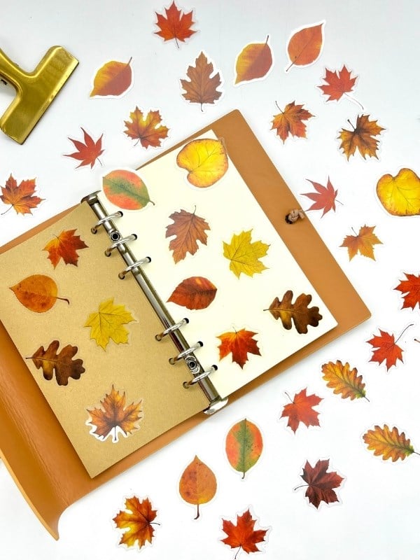 Autumn Dream Leaves 40 Adet Dekoratif Turuncu Yaprak Şeffaf Pet Sticker Seti/Etiket/Çıkartma