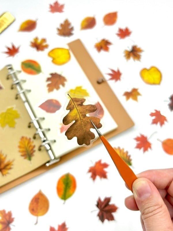 Autumn Dream Leaves 40 Adet Dekoratif Turuncu Yaprak Şeffaf Pet Sticker Seti/Etiket/Çıkartma