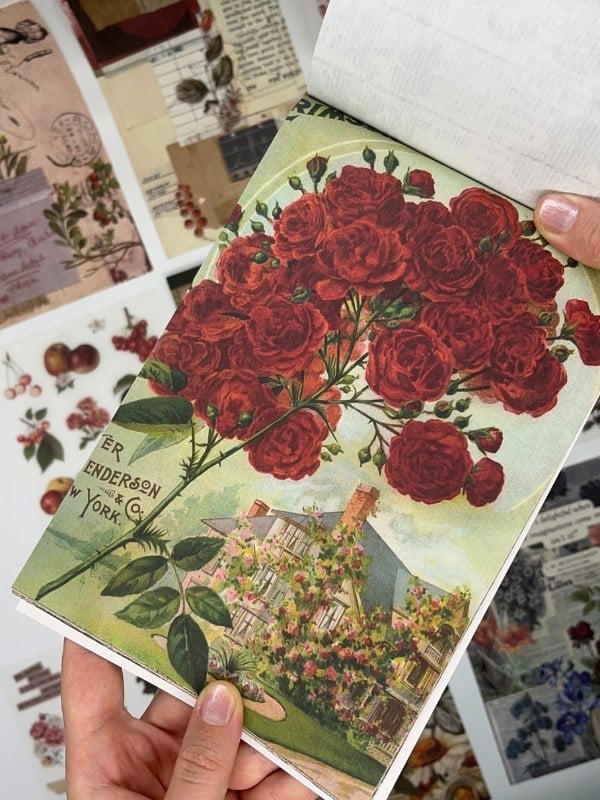 Blooming Garden Çiçek ve Meyve 30 Yaprak 403 Adet Sticker 20 Yaprak Scrapbook Kağıdı/Etiket/Çıkartma