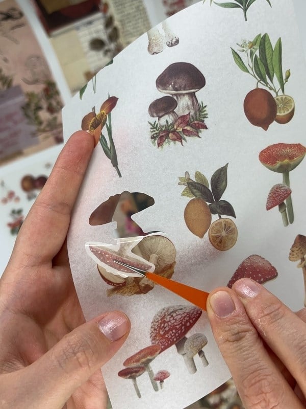 Blooming Garden Çiçek ve Meyve 30 Yaprak 403 Adet Sticker 20 Yaprak Scrapbook Kağıdı/Etiket/Çıkartma