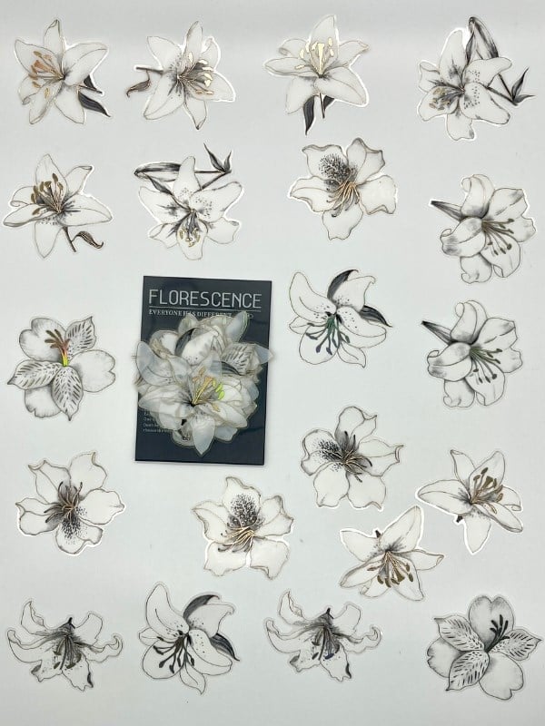 Florescence Altın Yaldızlı Siyah-Beyaz Özel Tasarım Zambak Çiçeği Sticker Seti/20 Adet/Etiket/Çıkartma