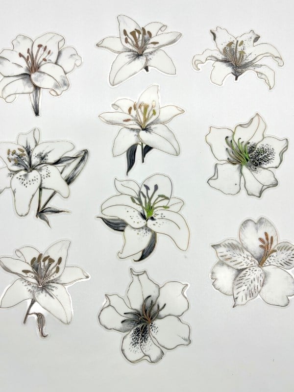 Florescence Altın Yaldızlı Siyah-Beyaz Özel Tasarım Zambak Çiçeği Sticker Seti/20 Adet/Etiket/Çıkartma