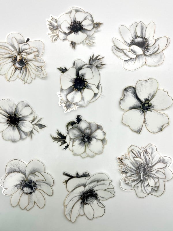 Florescence Altın Yaldızlı Siyah-Beyaz Özel Tasarım Anemon Çiçeği Sticker Seti/20 Adet/Etiket/Çıkartma
