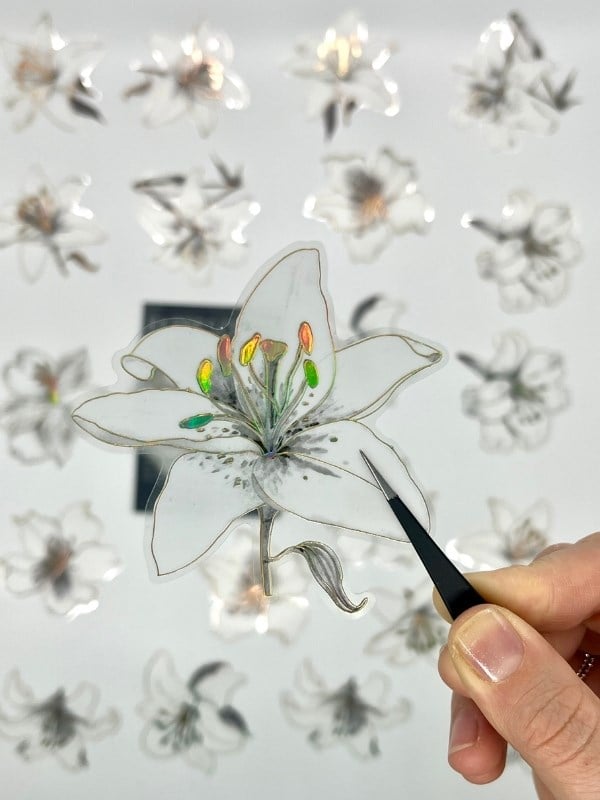 Florescence Altın Yaldızlı Siyah-Beyaz Özel Tasarım Zambak Çiçeği Sticker Seti/20 Adet/Etiket/Çıkartma