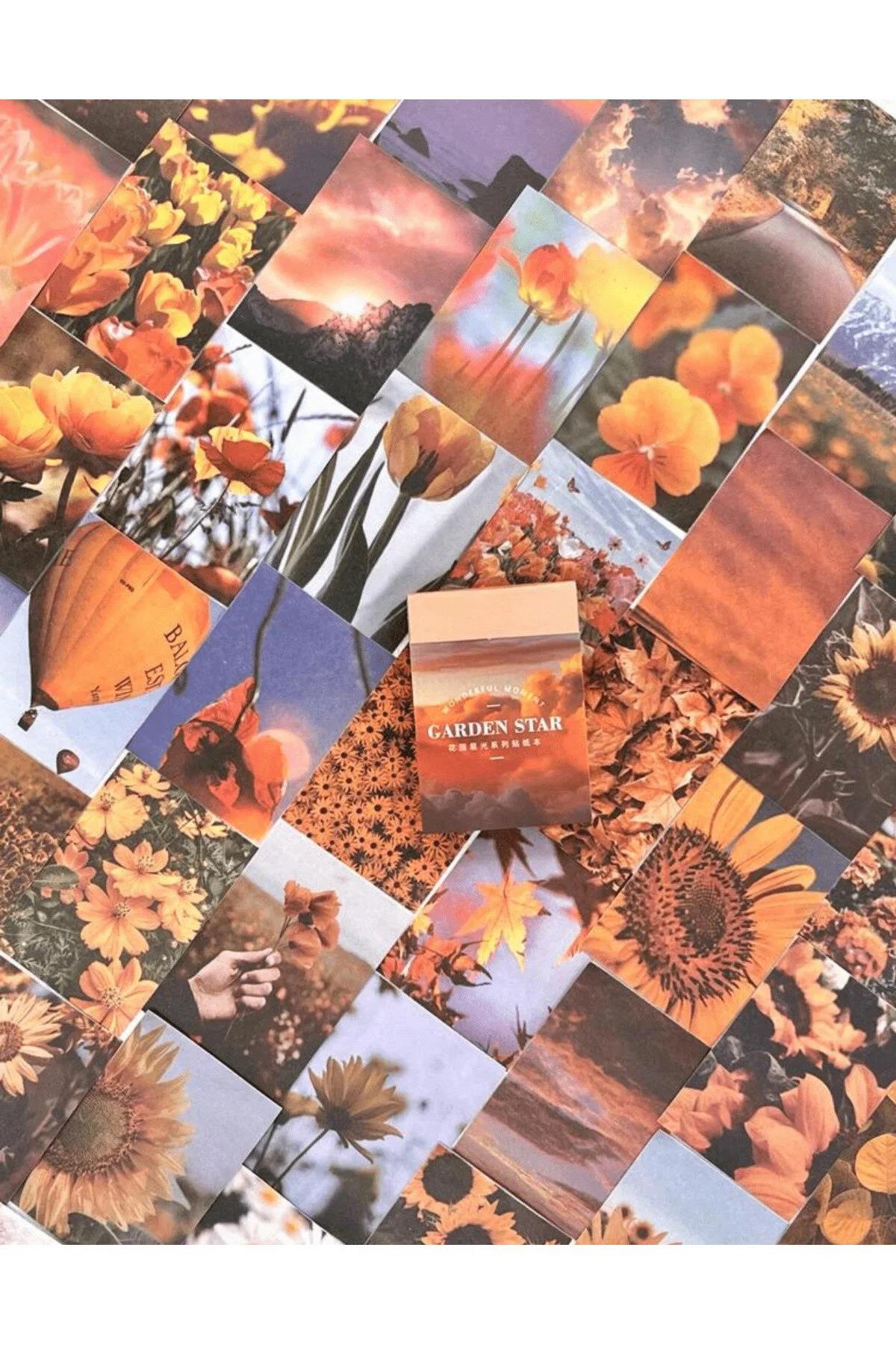 Garden Star Turuncu 50 Yaprak Defter Sticker / Çıkartma / Bullet Journal / Defter Süsleme/ Scrapbook