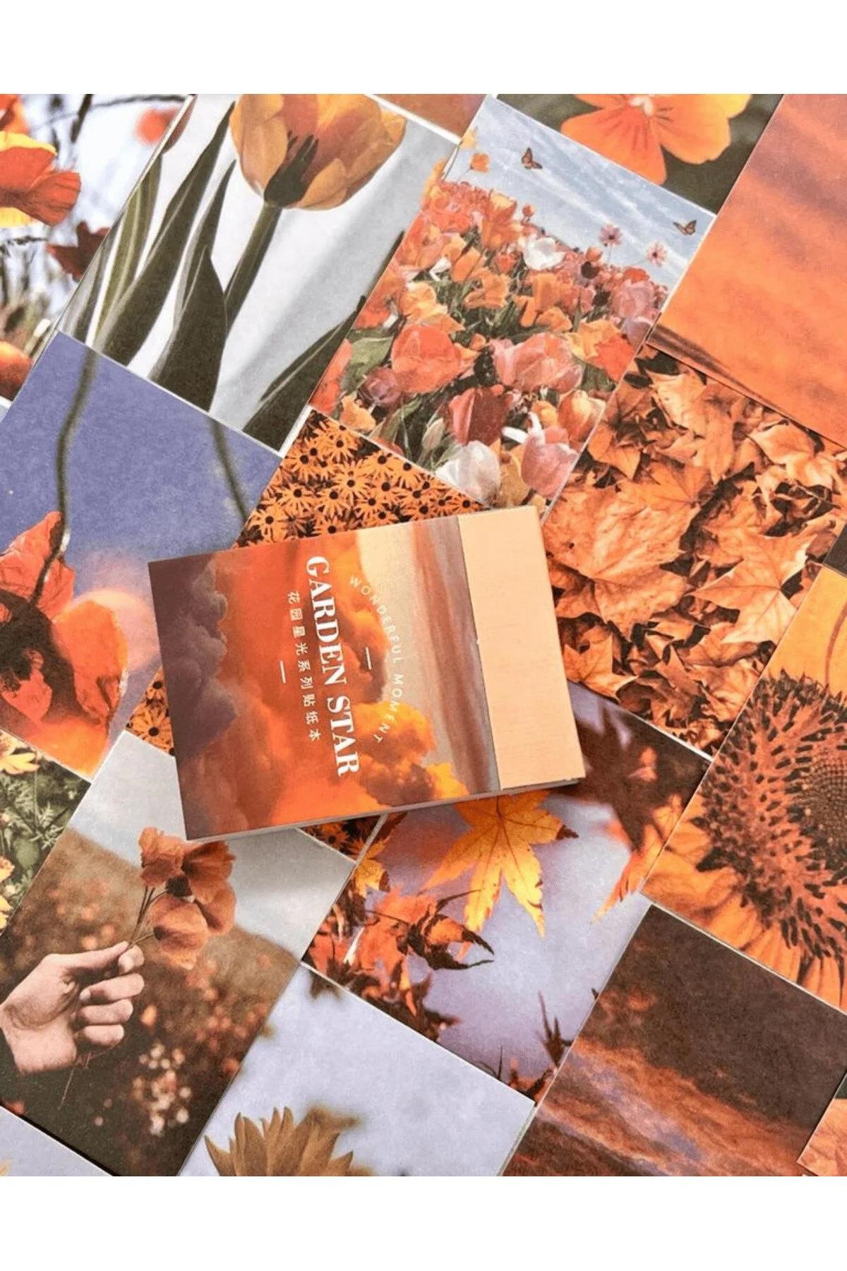 Garden Star Turuncu 50 Yaprak Defter Sticker / Çıkartma / Bullet Journal / Defter Süsleme/ Scrapbook