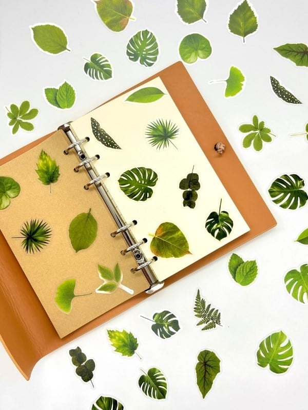 Green Forest Leaves 40 Adet Dekoratif Yeşil Yaprak Şeffaf Pet Sticker Seti/Etiket/Çıkartma