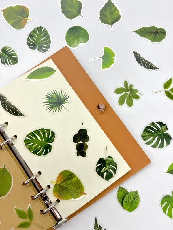 Green Forest Leaves 40 Adet Dekoratif Yeşil Yaprak Şeffaf Pet Sticker Seti/Etiket/Çıkartma