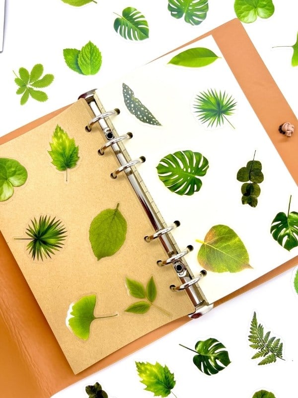 Green Forest Leaves 40 Adet Dekoratif Yeşil Yaprak Şeffaf Pet Sticker Seti/Etiket/Çıkartma