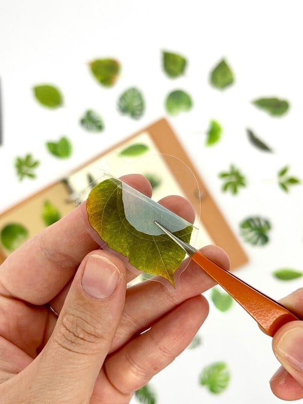 Green Forest Leaves 40 Adet Dekoratif Yeşil Yaprak Şeffaf Pet Sticker Seti/Etiket/Çıkartma