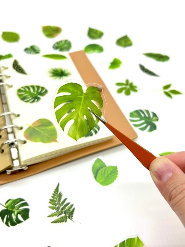 Green Forest Leaves 40 Adet Dekoratif Yeşil Yaprak Şeffaf Pet Sticker Seti/Etiket/Çıkartma