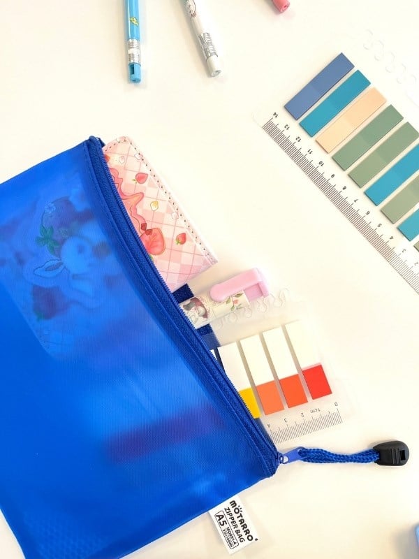 Mavi Yarı Şeffaf Küçük Boy Çift Bölme Fermuarlı Organizer Dosya Çantası (23*16.5cm)/Toparlayıcı