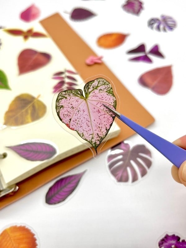 Purple Dream Leaves 40 Adet Dekoratif Mor Yaprak Şeffaf Pet Sticker Seti/Etiket/Çıkartma