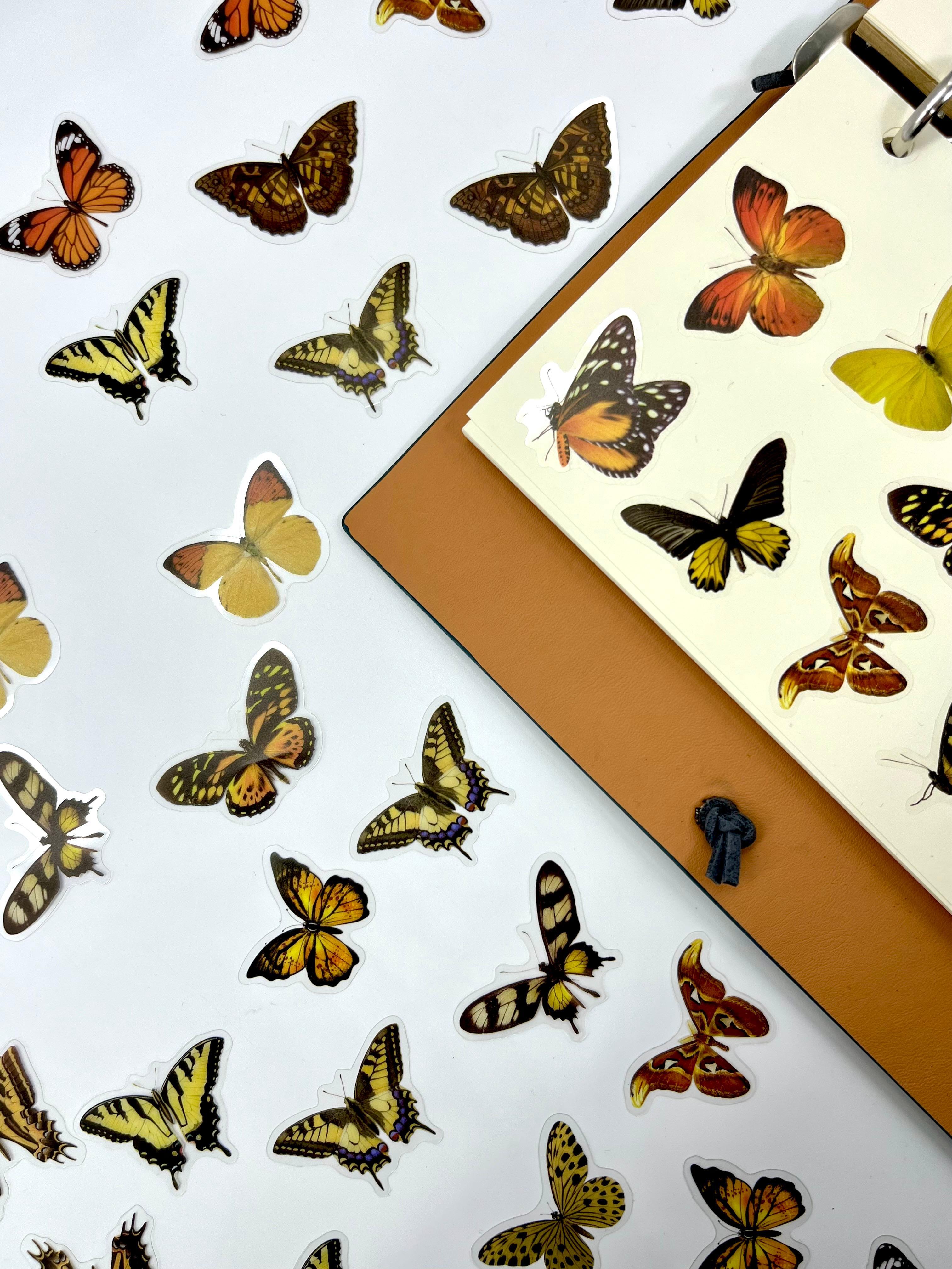 The World Of Butterflies Mini Kelebek Sticker Seti/40 Adet/Turuncu&Sarı Tonlarında/Etiket/Çıkartma