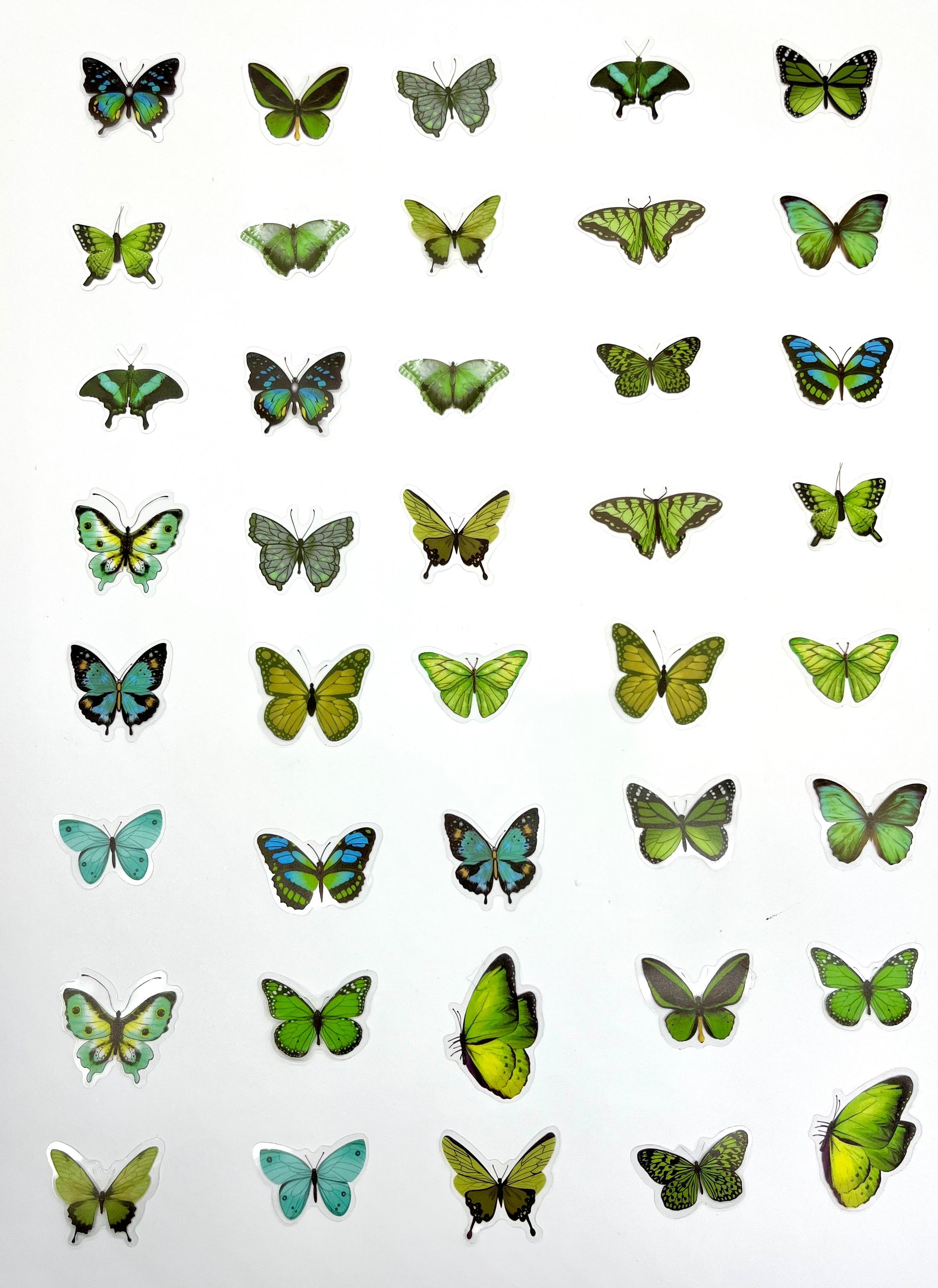 The World Of Butterflies Mini Kelebek Sticker Seti/40 Adet/Yeşil Tonlarında/Etiket/Çıkartma