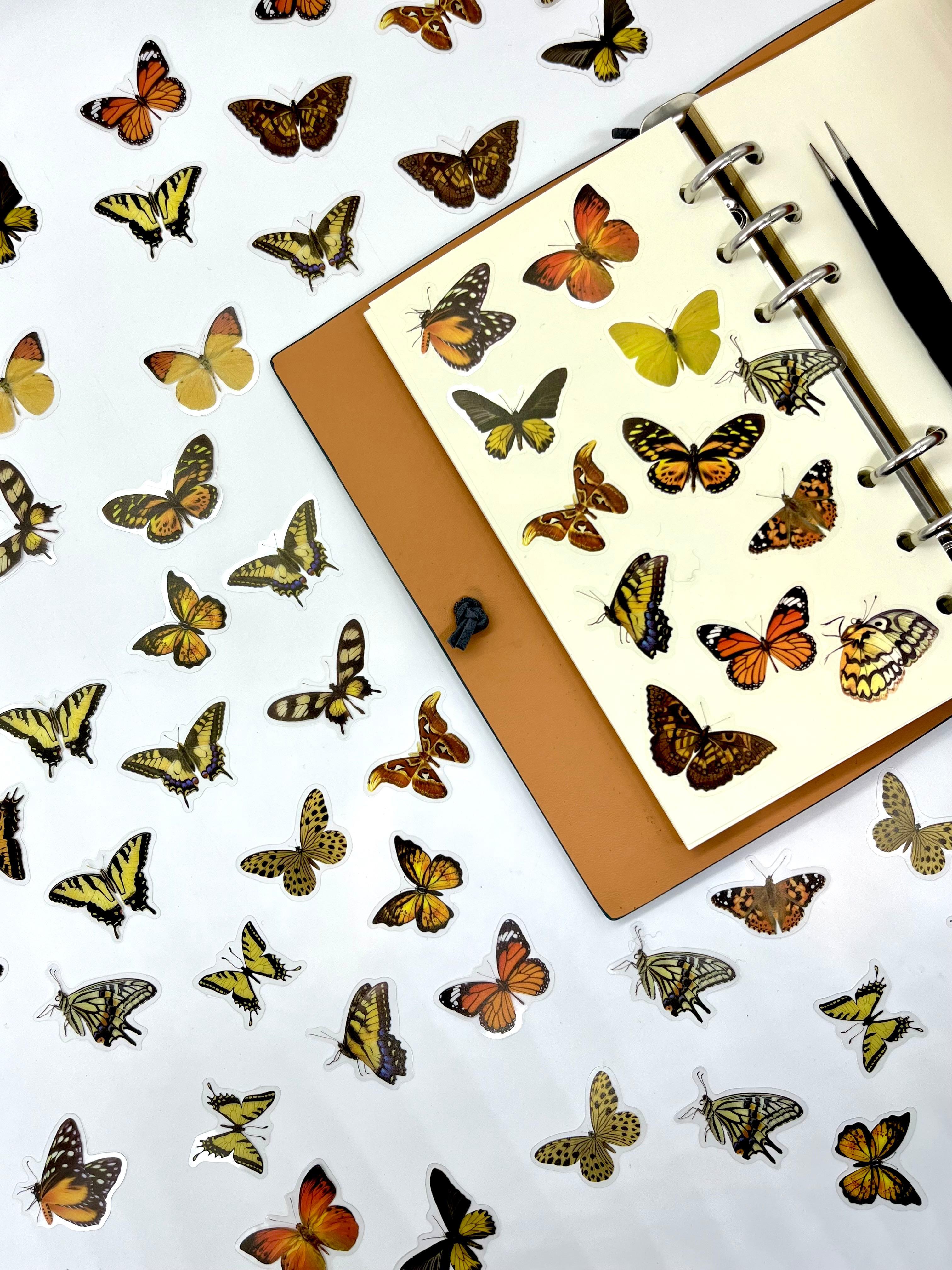 The World Of Butterflies Mini Kelebek Sticker Seti/40 Adet/Turuncu&Sarı Tonlarında/Etiket/Çıkartma