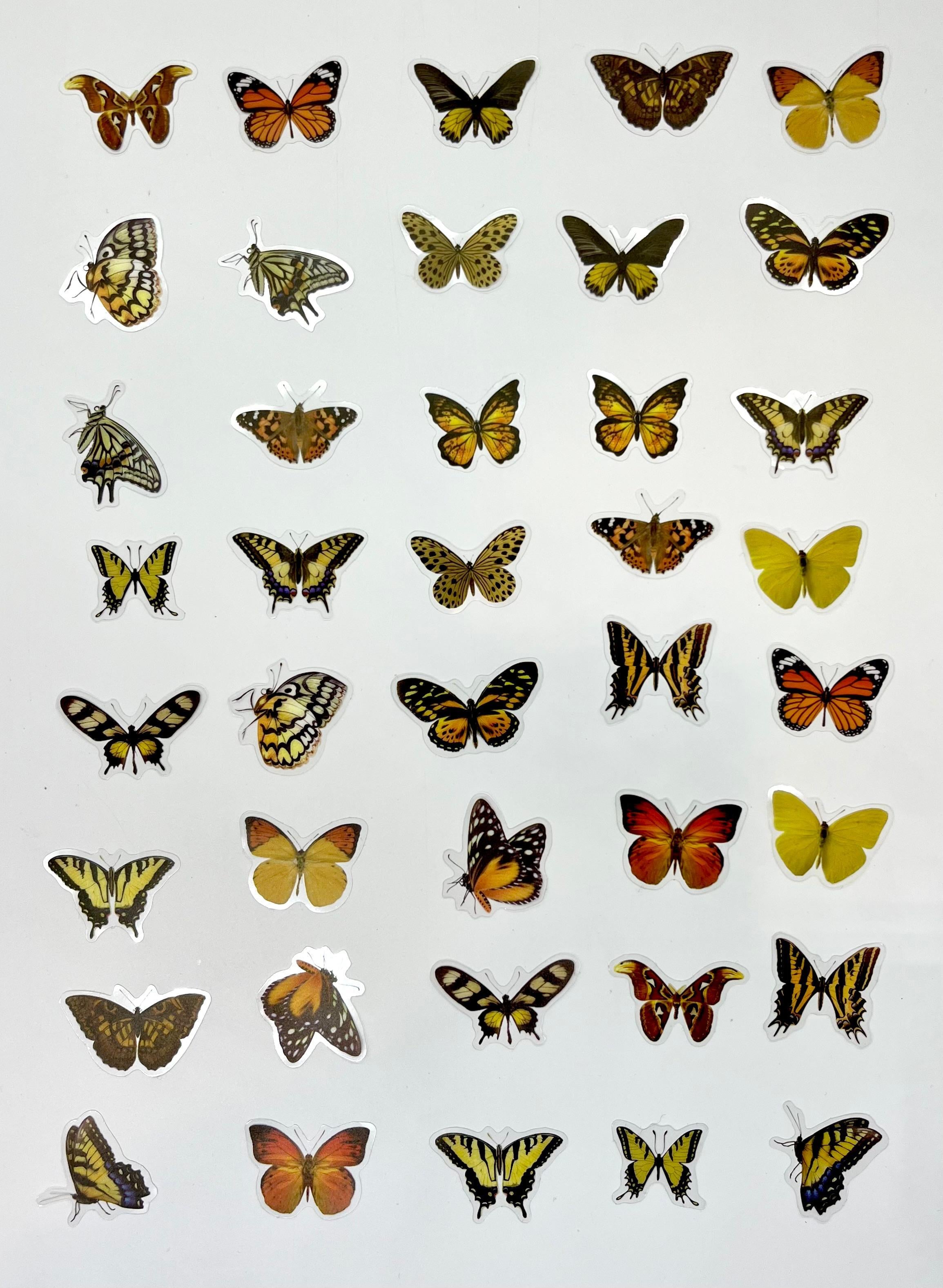 The World Of Butterflies Mini Kelebek Sticker Seti/40 Adet/Turuncu&Sarı Tonlarında/Etiket/Çıkartma
