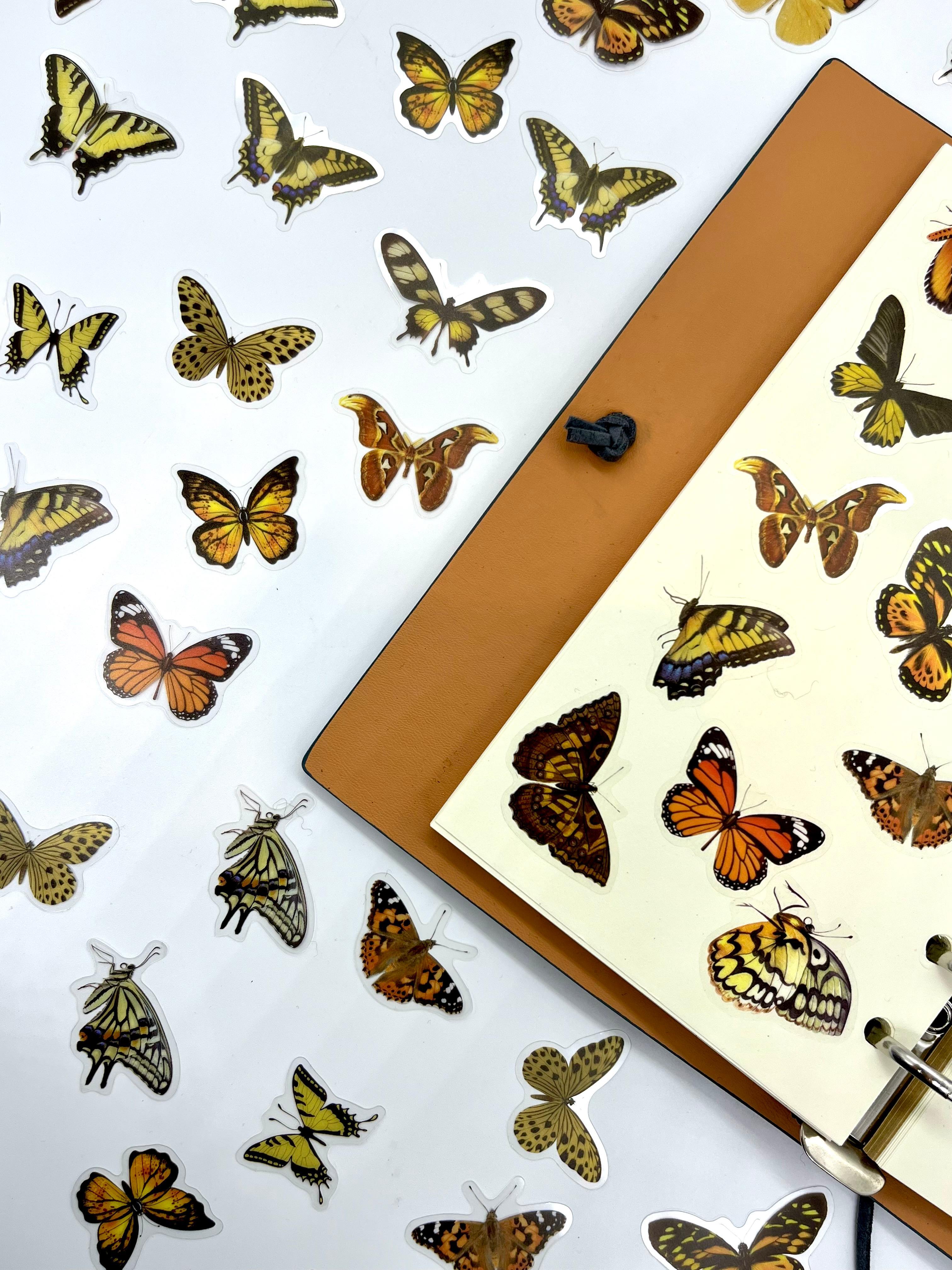 The World Of Butterflies Mini Kelebek Sticker Seti/40 Adet/Turuncu&Sarı Tonlarında/Etiket/Çıkartma