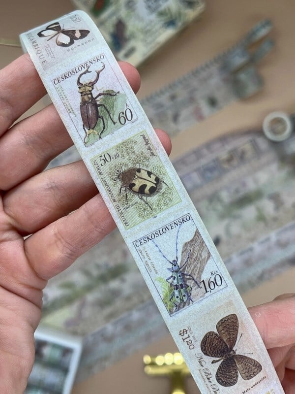 Vintage Çiçek Ve Kelebek Temalı 20’li Washi Bant  The Traces In The Jungle Fleeting Monologue Serisi (20*2m) Masking Tape / Desenli Bant 