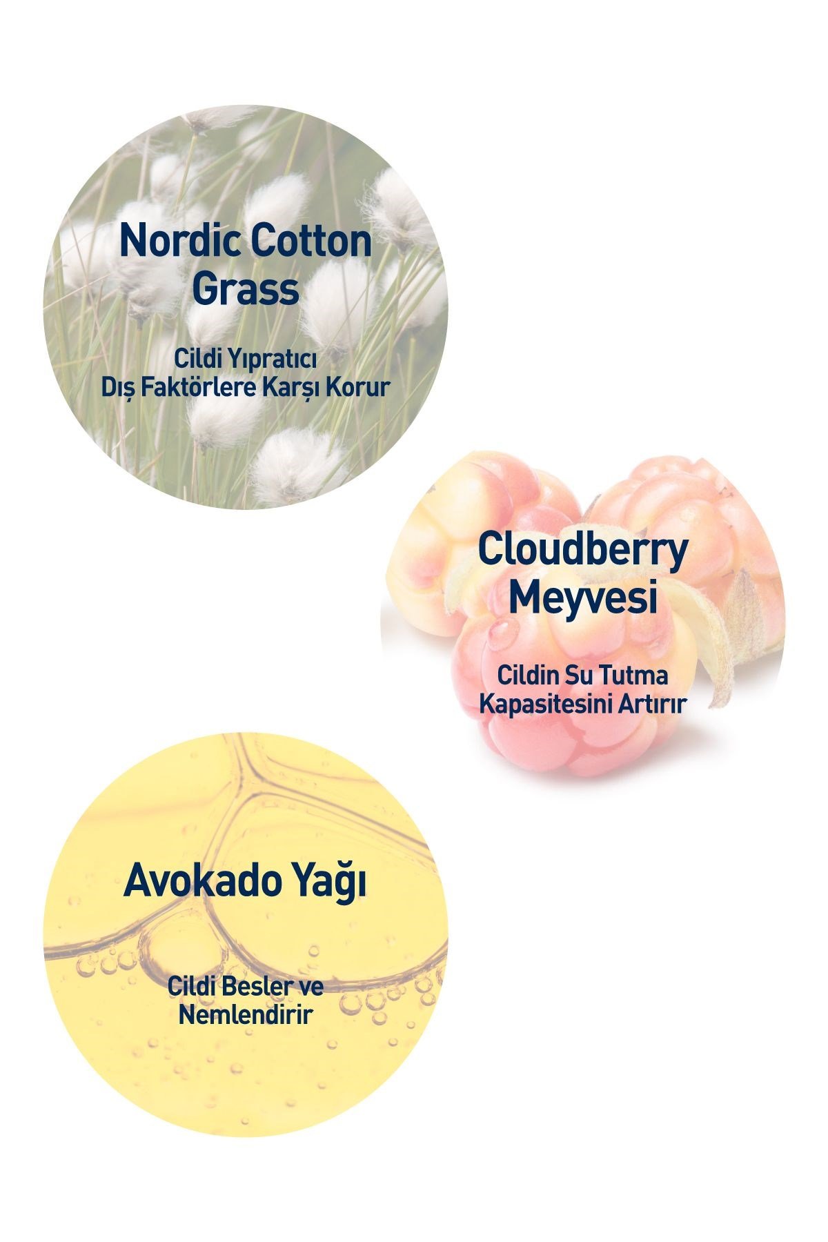 Celenes By Sweden Cloudberry Göz Çevresi Bakım Kremi 15 ml  