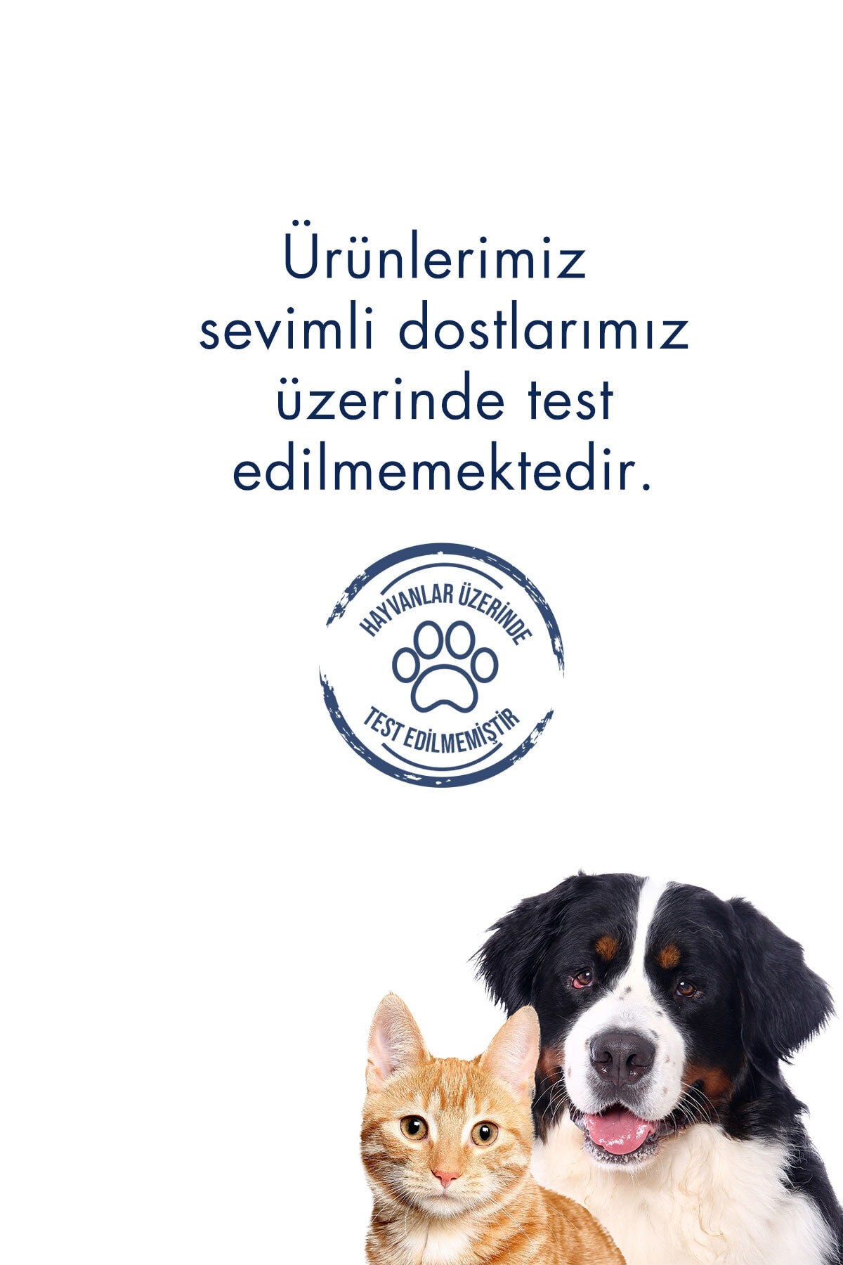 Celenes By Sweden Herbal Güneş Kremi Tüm Ciltler İçin 50 Faktör 50 ml  
