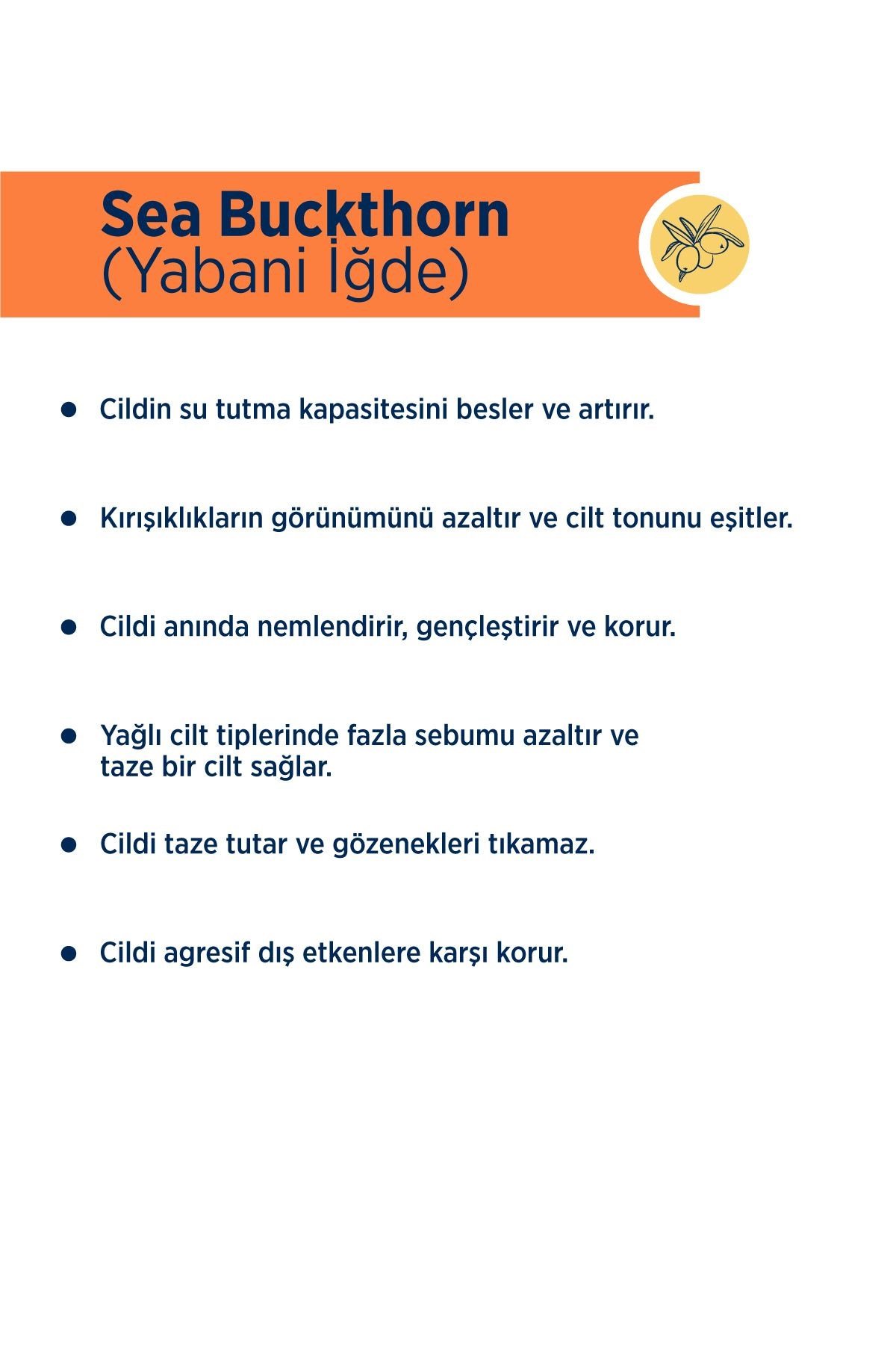 Celenes By Sweden Sea Buckthorn Vücut Losyonu Tüm Cilt Tipleri 200 ml